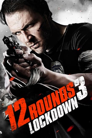 12 Rounds 3 Lockdown 2015 Dual Audio | Dubbed Hindi Movie BluRay [780MB]