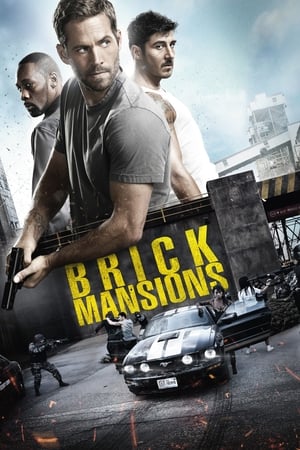 Brick Mansions (2014) Dual Audio | Dubbed Hindi Movie BluRay [950MB]