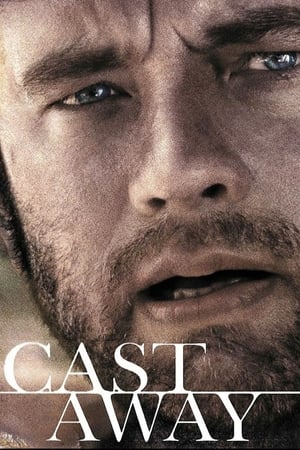 Cast Away 2000 Dual Audio | Dubbed Hindi Movie BluRay [1GB] ESubs