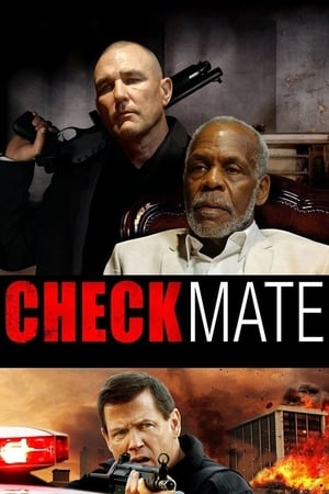 Checkmate (2015) 300MB Dual Audio Bluray Download