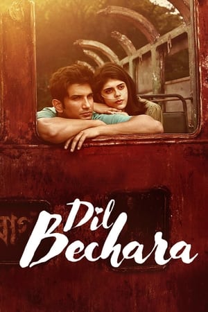 Dil Bechara (2020) Movie | Dubbed Hindi Movie HDRip - [350MB]