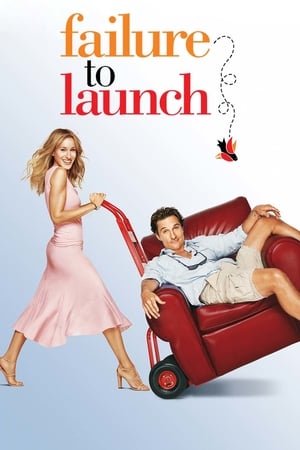 Failure to Launch 2006 Dual Audio | Dubbed Hindi Movie BluRay [850MB]