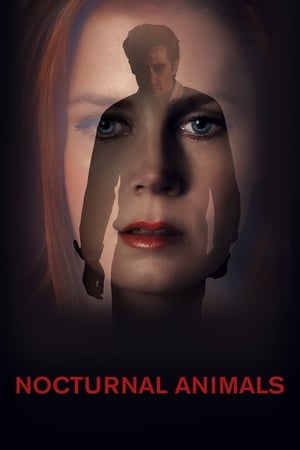 Nocturnal Animals (2016) Dual Audio | Dubbed Hindi Movie BluRay [1GB]
