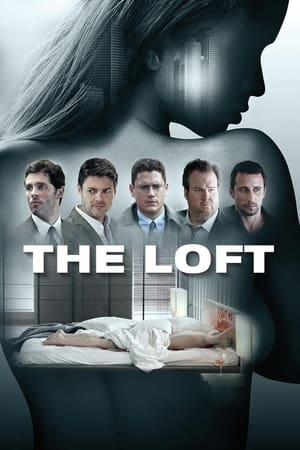 The Loft 2014 Dubbed | Dubbed Hindi Movie HDRip 340MB