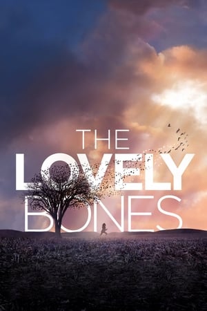 The Lovely Bones (2009) Dual Audio | Dubbed Hindi Movie BluRay 430MB