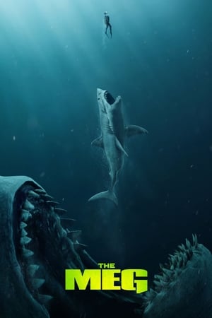 The Meg (2018) (Org) Dual Audio | Dubbed Hindi Movie BluRay [1.1GB]