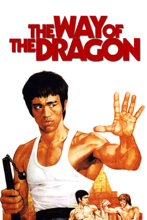 The Way of the Dragon (1972) Dual Audio | Dubbed Hindi Movie BluRay 300MB