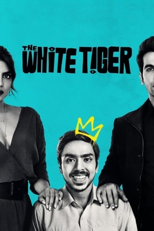 The White Tiger (2021) Movie | Dubbed Hindi Movie HDRip – [370MB]