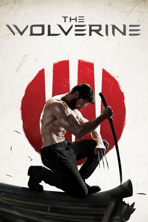 The Wolverine (2013) Dual Audio | Dubbed Hindi Movie BluRay 430MB