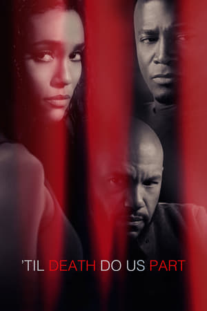 Til Death Do Us Part 2017 Dual Audio | Dubbed Hindi Movie Web-DL [940MB]
