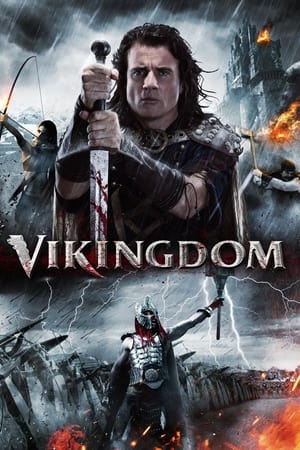 Vikingdom 2013 Dual Audio | Dubbed Hindi Movie BluRay [1GB]