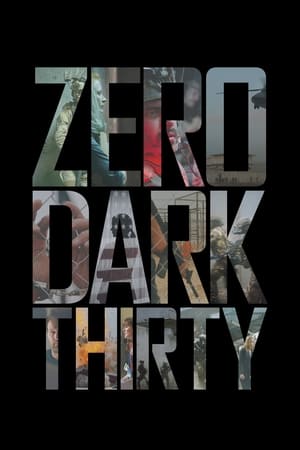 Zero Dark Thirty 2012 Dual Audio | Dubbed Hindi Movie BluRay [1.2GB]